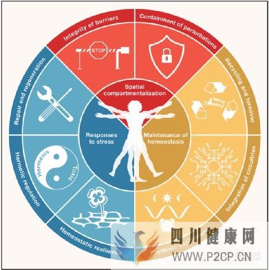 Cell重磅綜述健康的三大方面和八大特征(圖4) Cell重磅綜述健康的三大方面和八大特征(圖4)