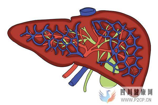 為什么肝病容易合并糖尿病？肝不好，要提前預防“肝源性糖尿病”(圖1)
