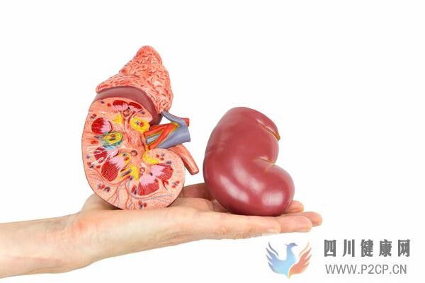 糖尿病并發癥多，預防糖尿病腎病，做好3點很重要(圖2)