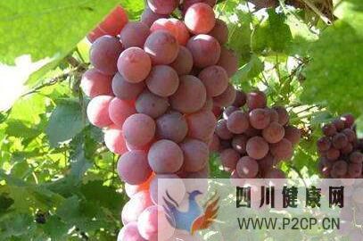 壹健康生活:糖尿病不能吃什么水果,吃什么食物調理好(圖1) 壹健康生活:糖尿病不能吃什么水果,吃什么食物調理好(圖1)