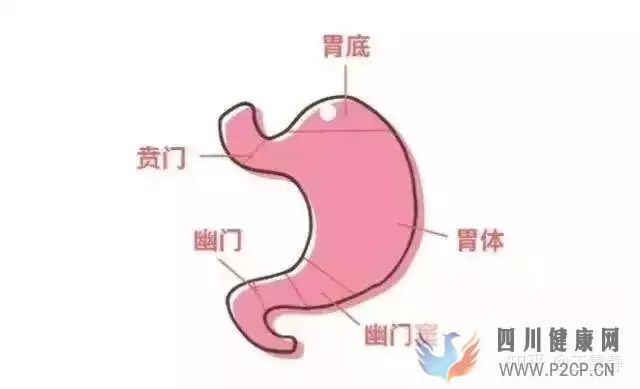 胃不好消化科醫(yī)生推薦6個(gè)養(yǎng)胃秘籍(圖1)