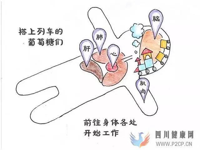 2型糖尿病能治愈嗎不吃藥不戒糖怎么治療糖尿病？(圖1)