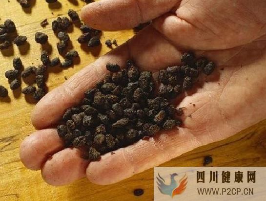 得了糖尿病,水果就要少吃?醫生:吃降糖藥還不如吃這種水果!你還不知道?(圖1) 得了糖尿病,水果就要少吃?醫生:吃降糖藥還不如吃這種水果!你還不知道?(圖1)