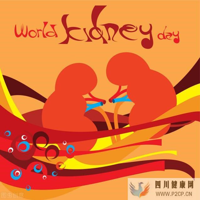 把“腎”泡在“糖水”里會(huì)發(fā)生什么？小心糖尿病腎病敲你的門！(圖1)