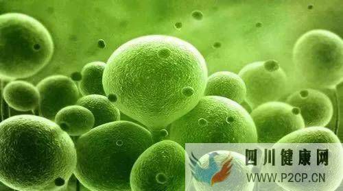 小細胞大作用：干細胞療法給于社會有需要幫助的人士(圖1)