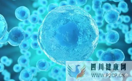 解密黑科技干細胞到底能不能打干細胞的副作用和...(圖2) 解密黑科技干細胞到底能不能打干細胞的副作用和...(圖2)