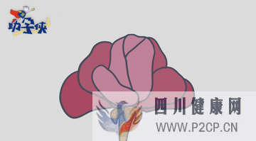 輸卵管不通怎么辦!(圖10) 輸卵管不通怎么辦!(圖10)