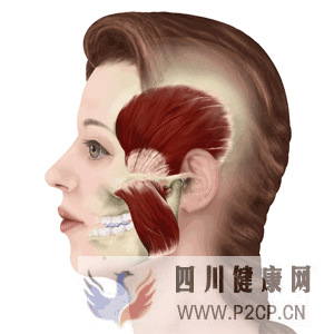 打瘦臉針安全嗎?有副作用嗎?想微整的你必看!(圖1) 打瘦臉針安全嗎?有副作用嗎?想微整的你必看!(圖1)