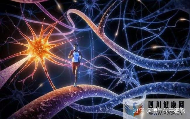 聊聊博鰲干細胞的政策(圖5) 聊聊博鰲干細胞的政策(圖5)