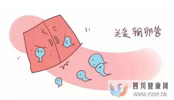 不孕不育輸卵管不孕,女性不孕的最大危害之一!(圖3) 不孕不育輸卵管不孕,女性不孕的最大危害之一!(圖3)