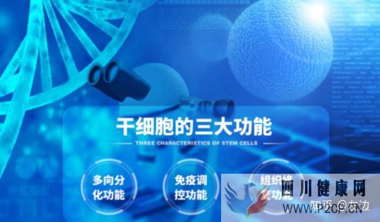 打了干細胞什么時候出效果、干細胞打幾次有效(圖4) 打了干細胞什么時候出效果、干細胞打幾次有效(圖4)