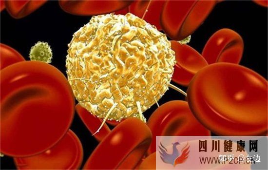 打了干細胞什么時候出效果、干細胞打幾次有效(圖5) 打了干細胞什么時候出效果、干細胞打幾次有效(圖5)