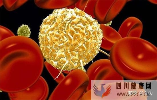 打了干細胞什么時候出效果、干細胞打幾次有效(圖6) 打了干細胞什么時候出效果、干細胞打幾次有效(圖6)