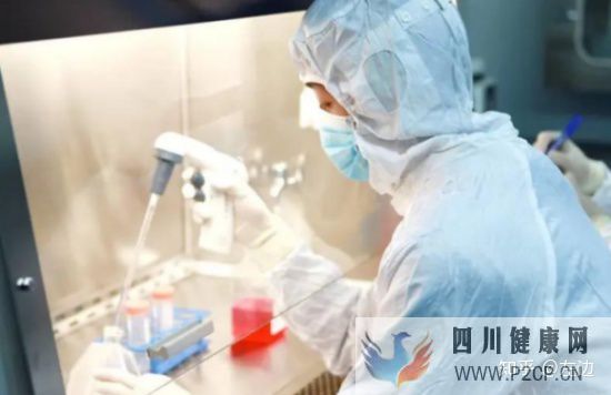 打了干細胞什么時候出效果、干細胞打幾次有效(圖9) 打了干細胞什么時候出效果、干細胞打幾次有效(圖9)