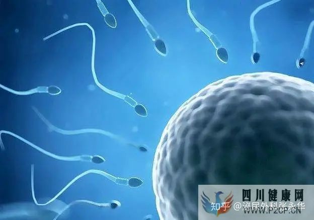 男性不育常見的七個誤區(qū),你都知道嗎(圖2) 男性不育常見的七個誤區(qū),你都知道嗎(圖2)