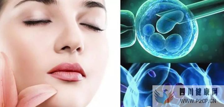一文解讀~干細胞除皺安全嗎法令紋打干細胞的好處...(圖7) 一文解讀~干細胞除皺安全嗎法令紋打干細胞的好處...(圖7)