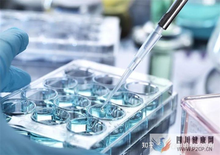 20萬一針的干細(xì)胞值得嗎、深扒打干細(xì)胞的好處和壞處~(圖1) 20萬一針的干細(xì)胞值得嗎、深扒打干細(xì)胞的好處和壞處~(圖1)