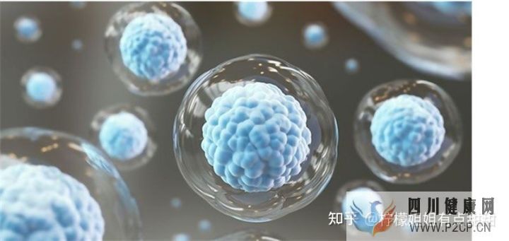 20萬一針的干細(xì)胞值得嗎、深扒打干細(xì)胞的好處和壞處~(圖4) 20萬一針的干細(xì)胞值得嗎、深扒打干細(xì)胞的好處和壞處~(圖4)