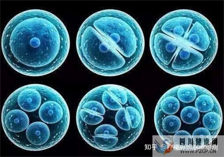20萬一針的干細(xì)胞值得嗎、深扒打干細(xì)胞的好處和壞處~(圖7) 20萬一針的干細(xì)胞值得嗎、深扒打干細(xì)胞的好處和壞處~(圖7)