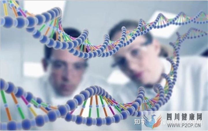 20萬一針的干細(xì)胞值得嗎、深扒打干細(xì)胞的好處和壞處~(圖10) 20萬一針的干細(xì)胞值得嗎、深扒打干細(xì)胞的好處和壞處~(圖10)