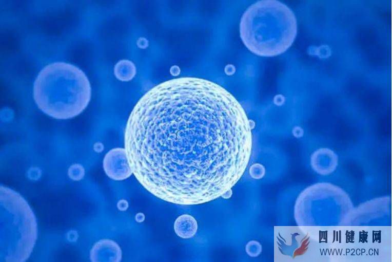 正常人打干細胞對身體有什么好處？正常人做干細胞會有什么作用呢？(圖1)