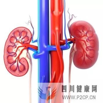 檢查系列②:什么檢查能用來發(fā)現(xiàn)糖尿病腎病?(圖1) 檢查系列②:什么檢查能用來發(fā)現(xiàn)糖尿病腎病?(圖1)