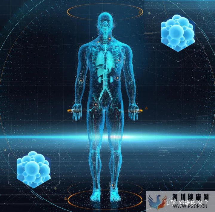 間充質(zhì)干細(xì)胞注射一針的價格表來了!(圖1) 間充質(zhì)干細(xì)胞注射一針的價格表來了!(圖1)