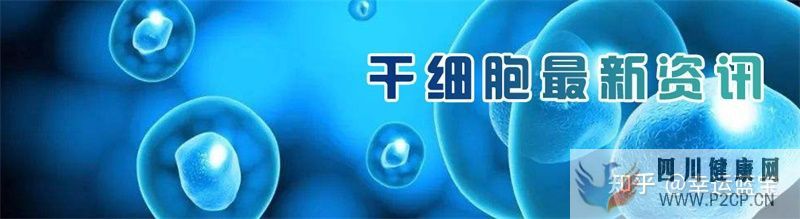 關于干細胞填充要做幾次,干細胞填充一般多久才看到...(圖3) 關于干細胞填充要做幾次,干細胞填充一般多久才看到...(圖3)