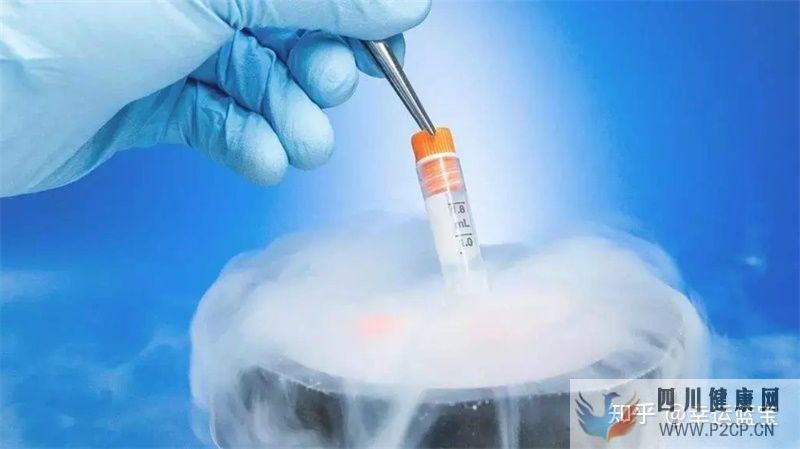 關于干細胞填充要做幾次,干細胞填充一般多久才看到...(圖5) 關于干細胞填充要做幾次,干細胞填充一般多久才看到...(圖5)