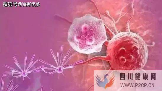 健康才有未來，干細胞對機體的保健干預(圖1)