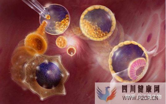 一針60萬(wàn)“胚胎干細(xì)胞針”妄想長(zhǎng)生不老(圖5) 一針60萬(wàn)“胚胎干細(xì)胞針”妄想長(zhǎng)生不老(圖5)