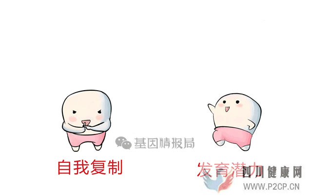 讓你年輕30歲的干細胞療法，一針60萬元，你敢花這錢嗎？(圖7)