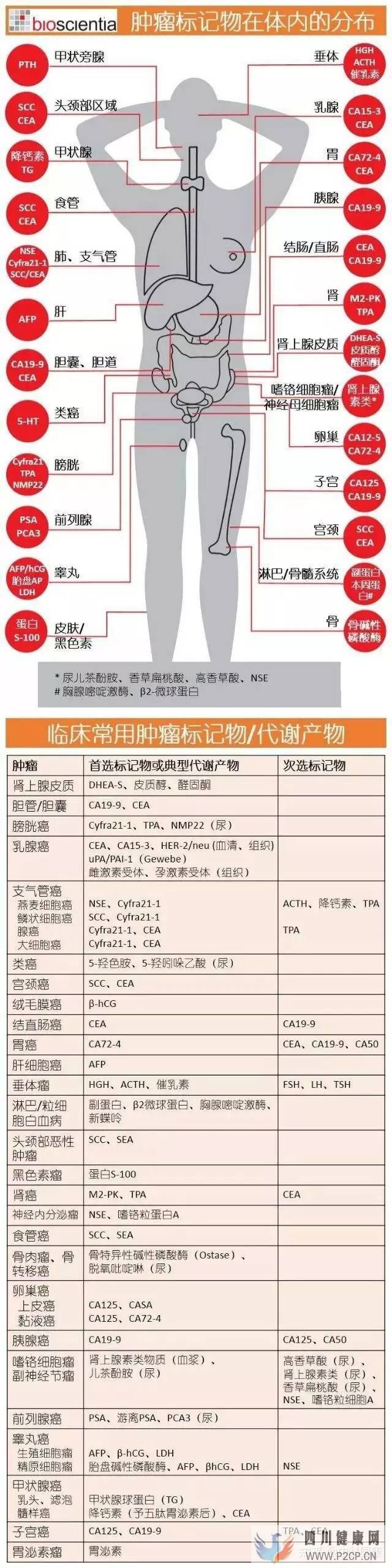 不是所有人都可以打干細胞!腫瘤標志物超標就絕對不...(圖1) 不是所有人都可以打干細胞!腫瘤標志物超標就絕對不...(圖1)