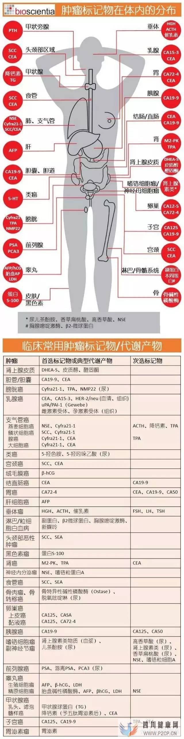 不是所有人都可以打干細胞!腫瘤標志物超標就絕對不...(圖2) 不是所有人都可以打干細胞!腫瘤標志物超標就絕對不...(圖2)