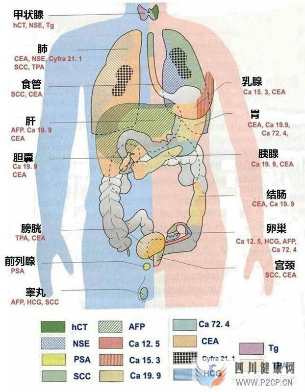 不是所有人都可以打干細胞!腫瘤標志物超標就絕對不...(圖3) 不是所有人都可以打干細胞!腫瘤標志物超標就絕對不...(圖3)