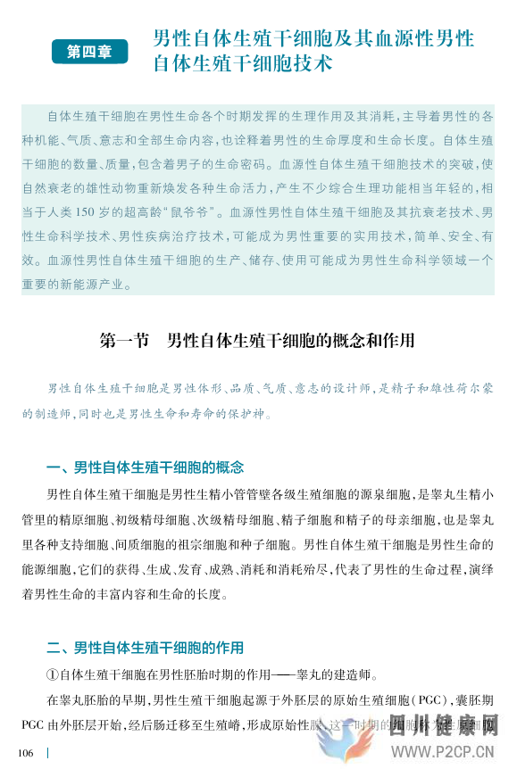 男性自體生殖干細(xì)胞的概念和作用(圖1) 男性自體生殖干細(xì)胞的概念和作用(圖1)
