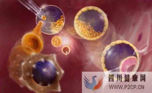 修補亞健康、反轉變老干細胞的六大作用原理講解(圖1)