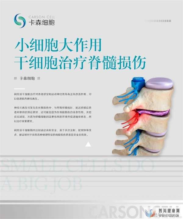 小細胞大作用干細胞治療脊髓損傷(圖1)