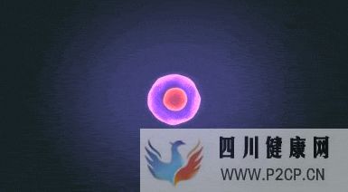 簡述干細胞的五項作用(圖4) 簡述干細胞的五項作用(圖4)