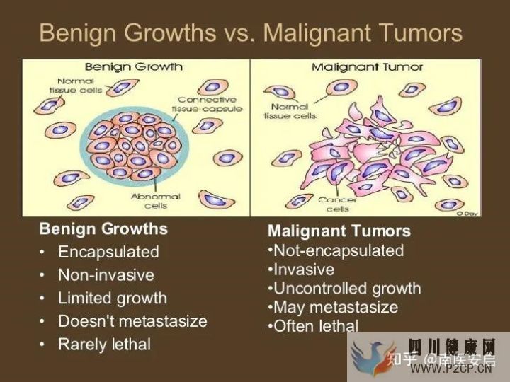 干細胞的作用和功效干細胞是如何幫助人們抗衰老(圖1) 干細胞的作用和功效干細胞是如何幫助人們抗衰老(圖1)