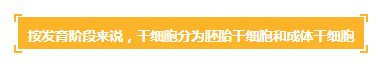 各種干細胞到底有何作用(圖1) 各種干細胞到底有何作用(圖1)