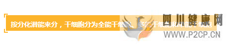 各種干細胞到底有何作用(圖8) 各種干細胞到底有何作用(圖8)