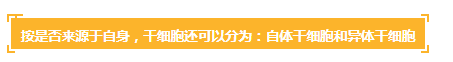 各種干細胞到底有何作用(圖11) 各種干細胞到底有何作用(圖11)