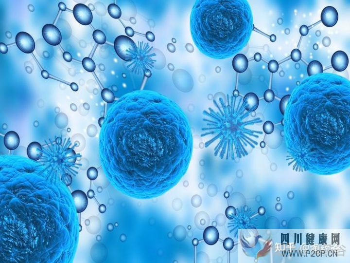 干細(xì)胞究竟有何作用呢(圖11) 干細(xì)胞究竟有何作用呢(圖11)