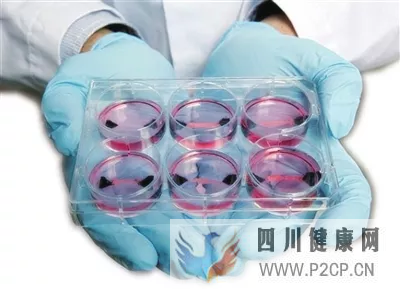 干細胞護膚品的優勢在哪?干細胞保養的好處超乎你的想象!(圖1) 干細胞護膚品的優勢在哪?干細胞保養的好處超乎你的想象!(圖1)