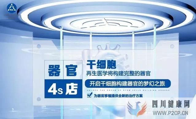 干細胞簡介——什么是干細胞(圖5) 干細胞簡介——什么是干細胞(圖5)