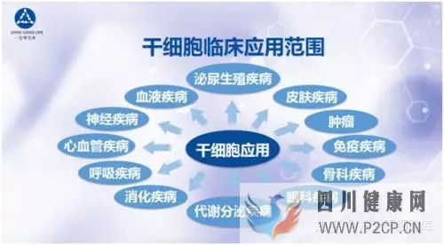 干細胞簡介——什么是干細胞(圖10) 干細胞簡介——什么是干細胞(圖10)