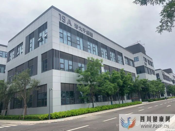 干細胞簡介——什么是干細胞(圖11) 干細胞簡介——什么是干細胞(圖11)