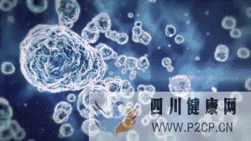 干細胞對身體的幾大作用(圖1) 干細胞對身體的幾大作用(圖1)