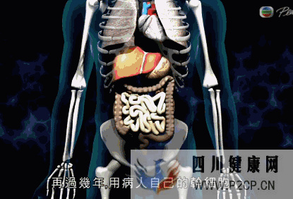 干細胞對身體的幾大作用(圖9) 干細胞對身體的幾大作用(圖9)